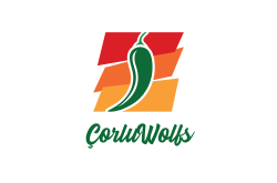 logo ÇorluWolfs