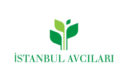 İSTANBUL AVCILARI