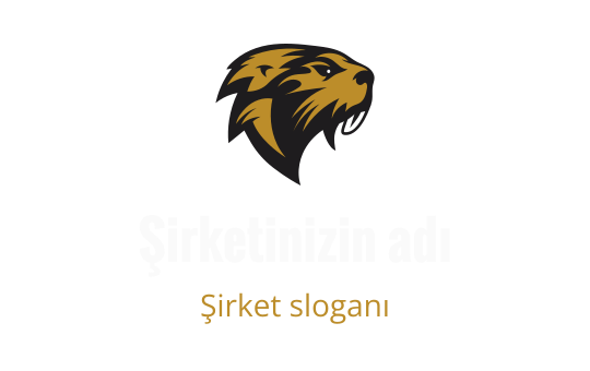 Amerikan futbolu logo