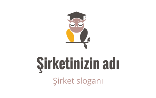 Owl logo