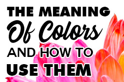 Renklerin Anlamı ve Marka Tasarımında Nasıl Kullanılacağı