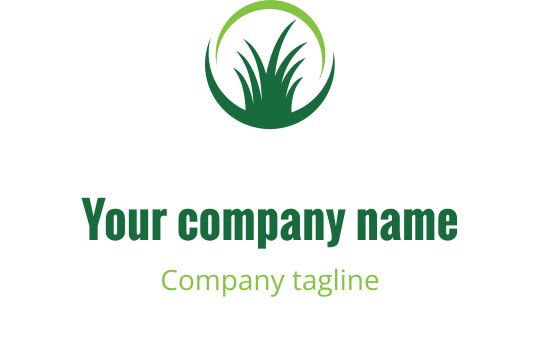 Logo design preview