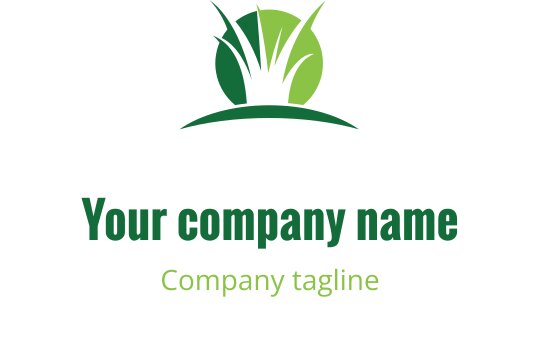 Logo design preview