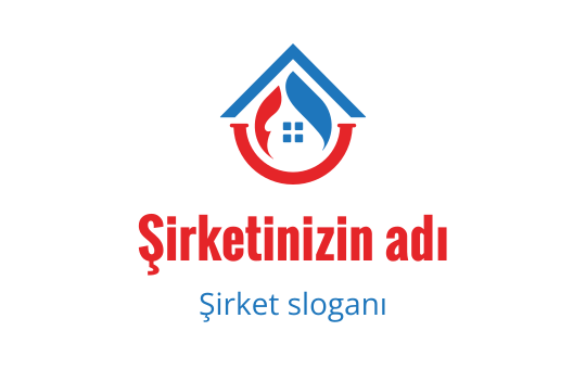 Boru logo