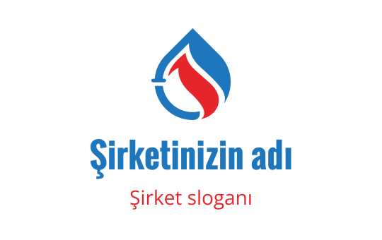 Boru logo