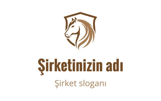 Mechanic logo
