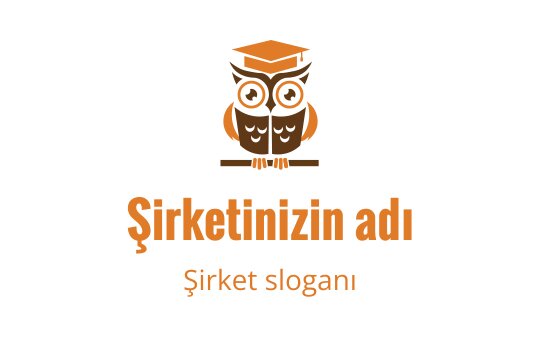Baykus logo