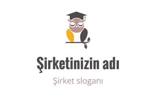Baykus logo