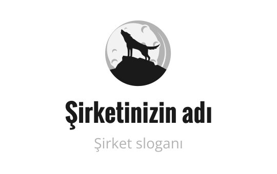 Ay logo